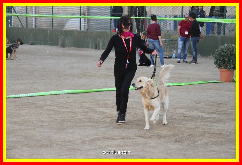 180311 mostra_canina 171.jpg